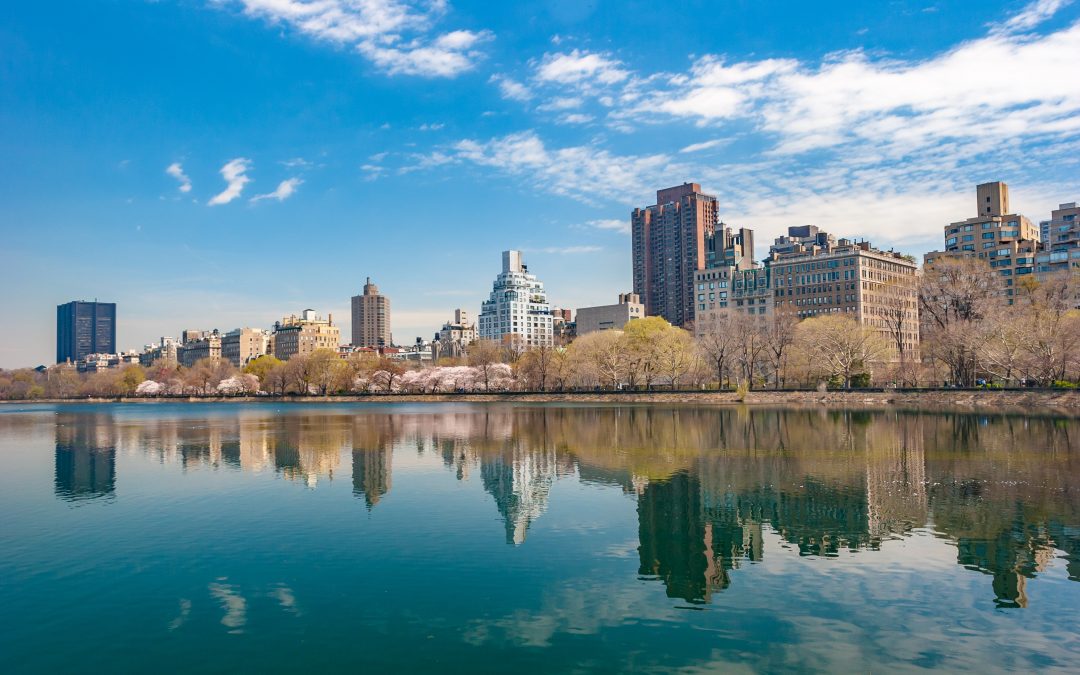 How The Central Park Conservancy Saved a New York Landmark